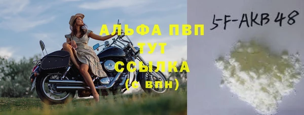ешки Дмитриев