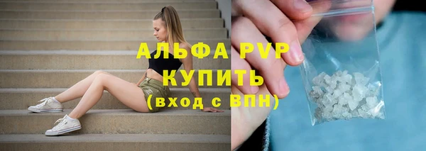 ешки Дмитриев