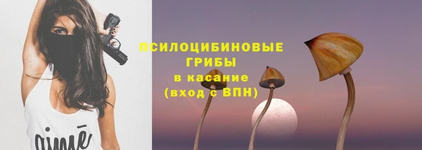 СК Елабуга