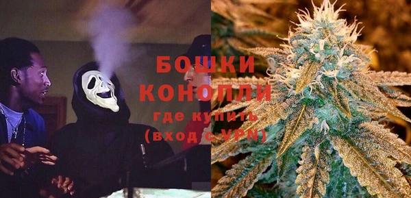 ешки Дмитриев