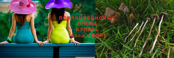 apvp Тихвин