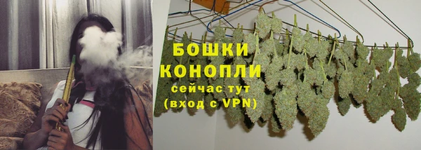 ешки Дмитриев