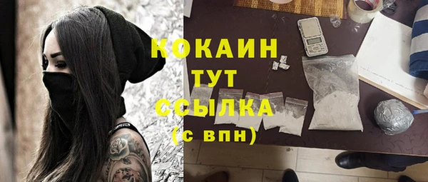 ешки Дмитриев