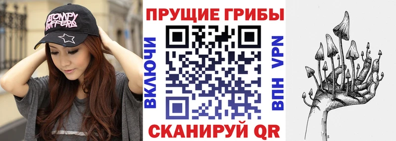 Галлюциногенные грибы Psilocybine cubensis  где купить наркоту  Вышний Волочёк 